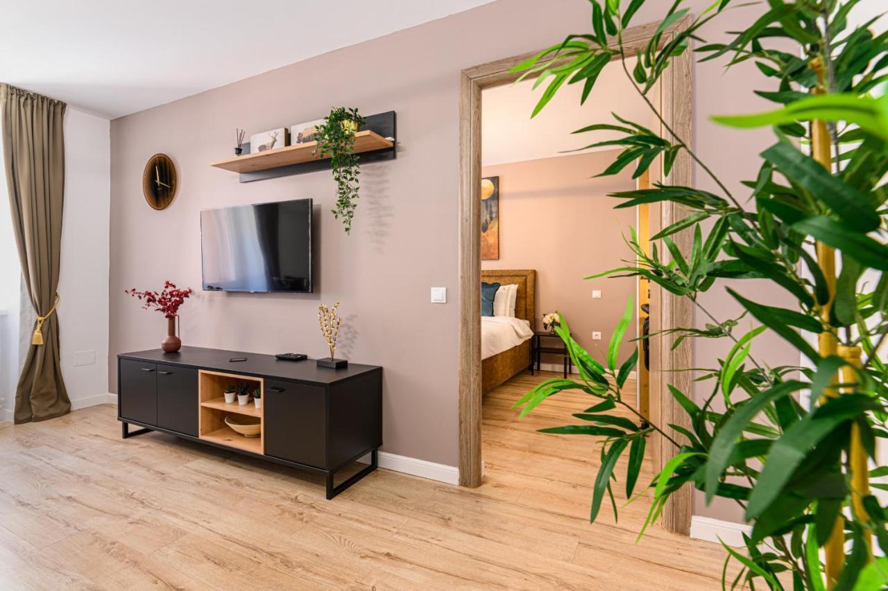 Schei Gate Apartment Brašov Exteriér fotografie