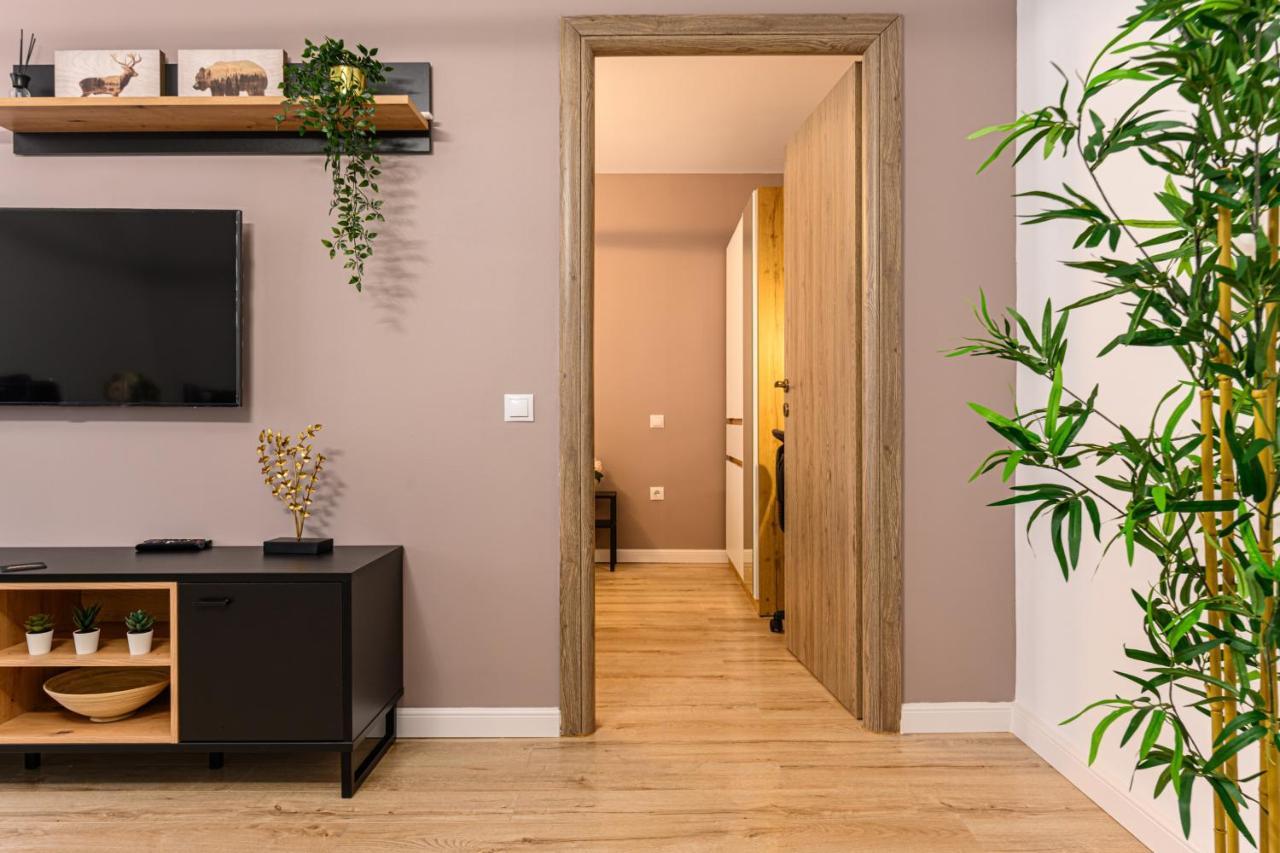 Schei Gate Apartment Brašov Exteriér fotografie